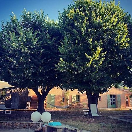 Вилла Bastide Provencale De Charme A La Cote D'Azur Кальян Экстерьер фото